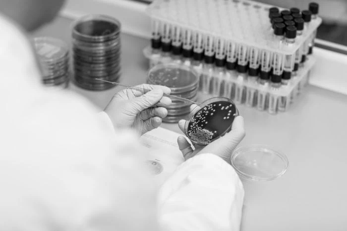 Projet d’extension du Passe Sanitaire et de l’obligation vaccinale