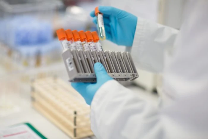 Covid 19 : mise à jour du protocole national sanitaire